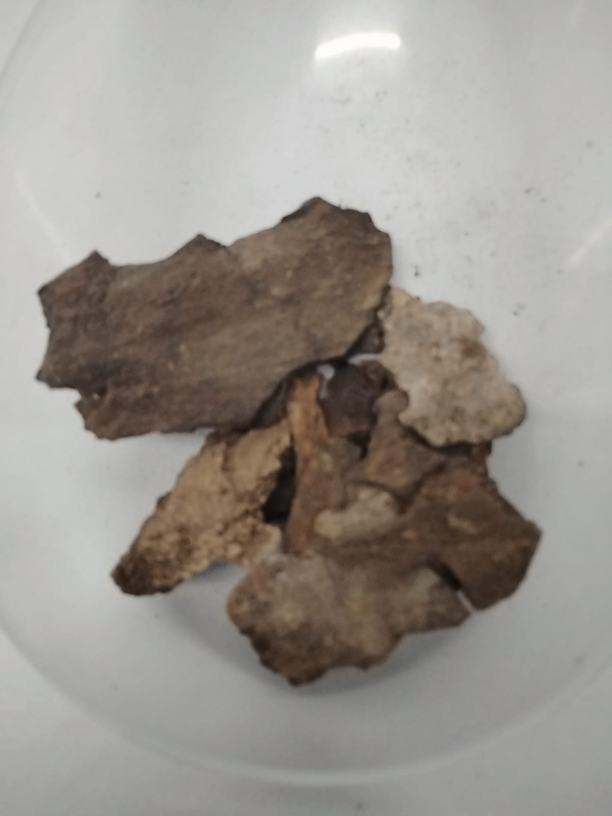 2.5oz Igi Nla/The Bark of Mysterious Tree/Asorin/2oz Igi Nla Powder
