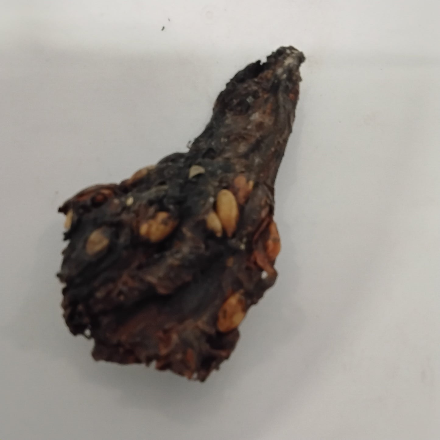 Eso Afan/ African Breadfruit Seeds/Freudian Africana