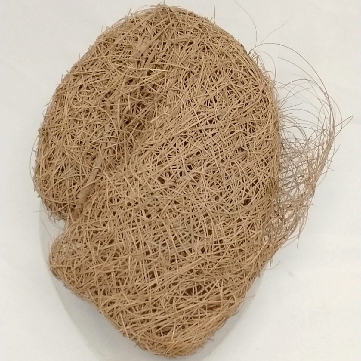 Large African Bird Nest