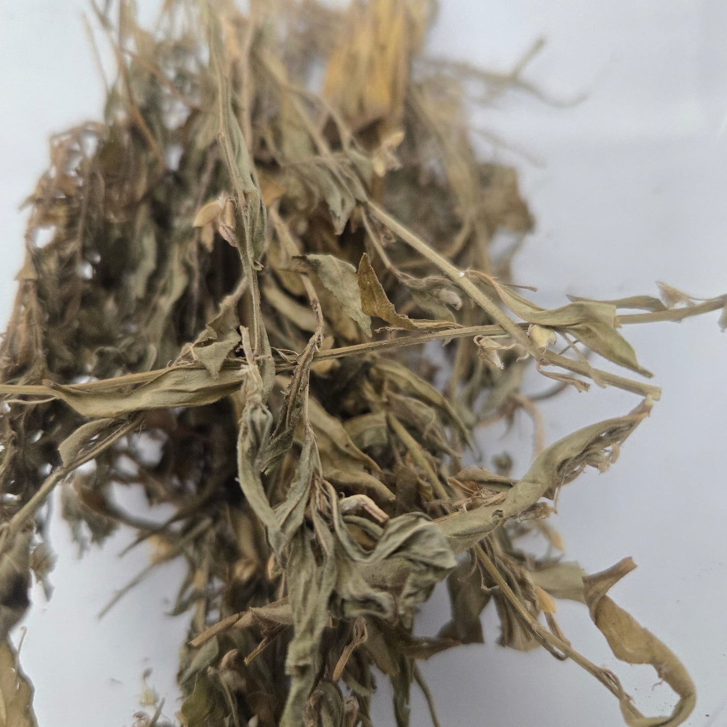 Ewe Abiwere/Hybanthus Enneaspermus/Dried Herbs