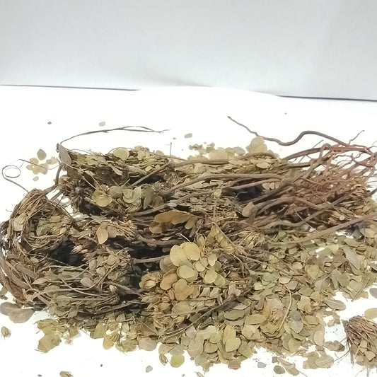 Ewe Patanmo/Dried Sensitive Plant/Mimosa Pudica