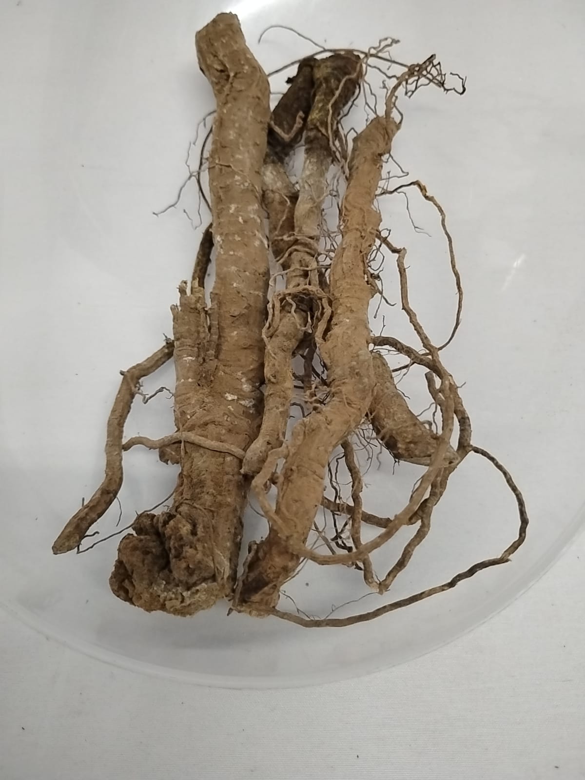 Egbo Karanjogbo/African Dried Roots