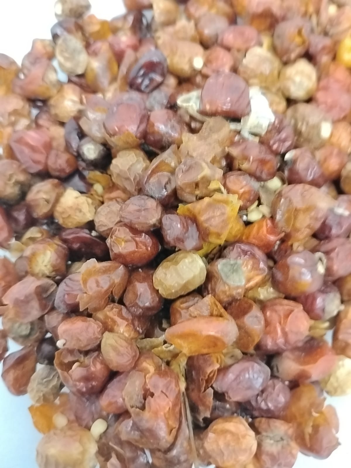 2.5oz Ata Ijosi/African Cayenne Pepper/Hand Picked Whole Chili Pepper