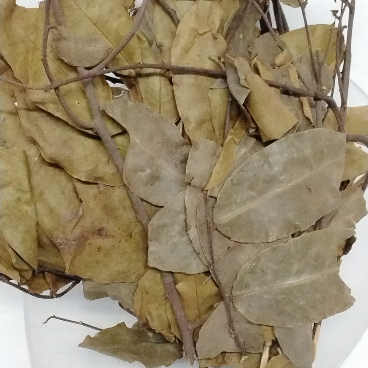 Ewe Eru/Ewe Eeru/Ewe Erinje/African Dried Herbs