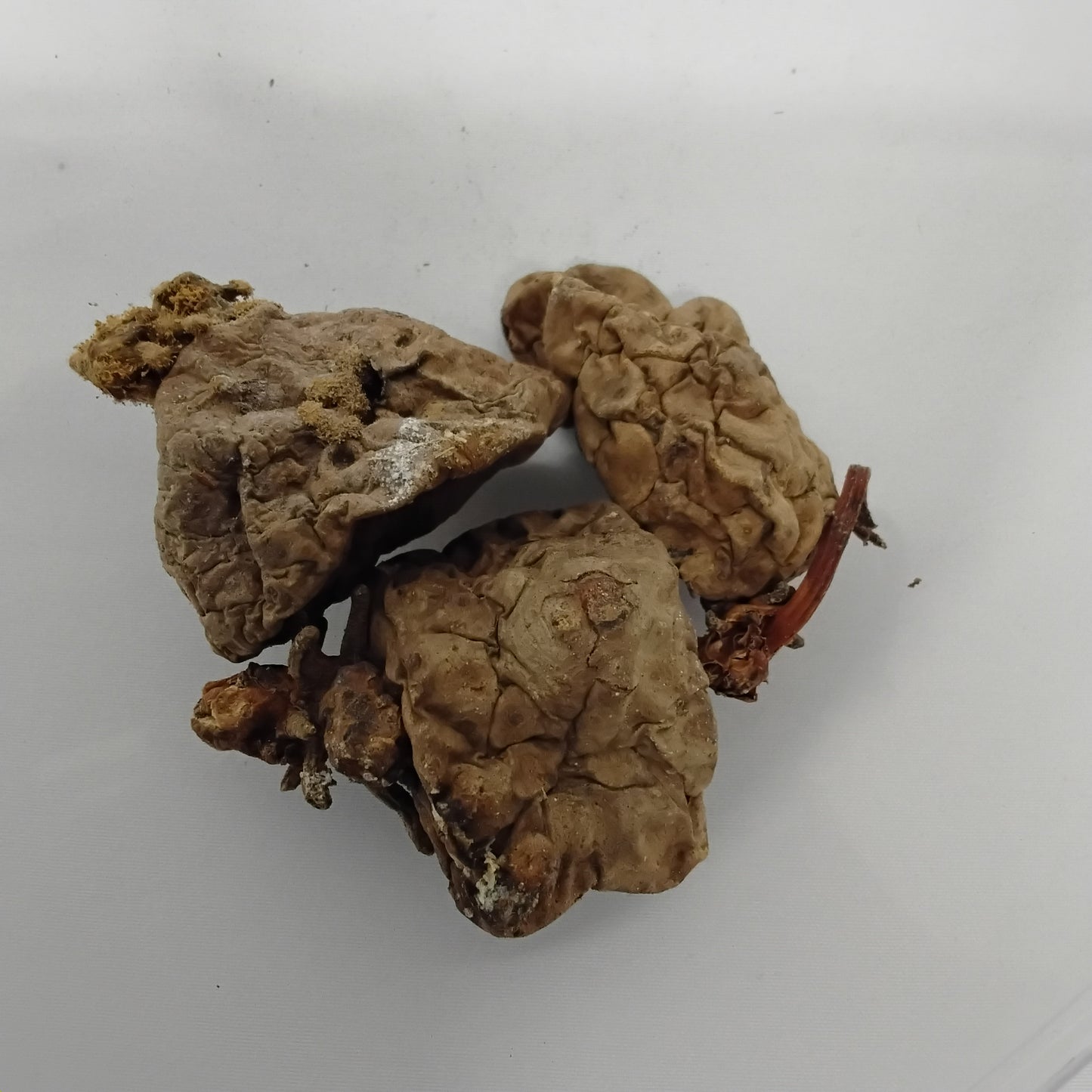 Isu Emina/Dried African Wild Yam/Dioscorea Villosa/Ji'muo/Ji Aga/Ji Aziza