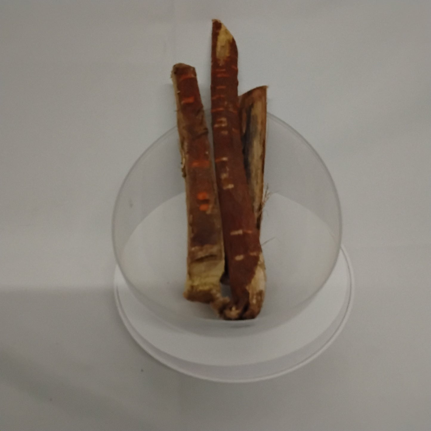 Egbo Iroko/African Teak Root/Felicia Excelsa/Orji/Kambala/Mvule Root/African Dried Root