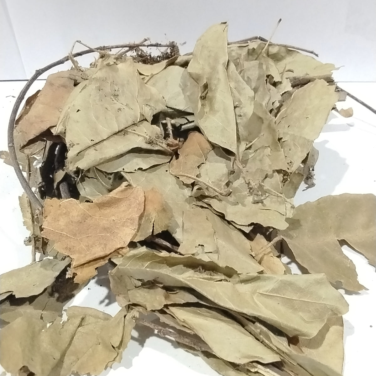 Ewe Kaju/African Cashew Leaf/ Dried herbs/Anacardium Occidentale leaf