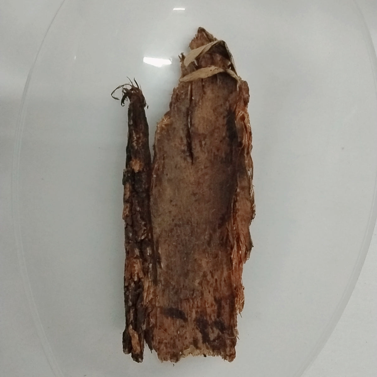 Epo Arira/Epo Apepe/Pterocarpus Erinaceus Bark
