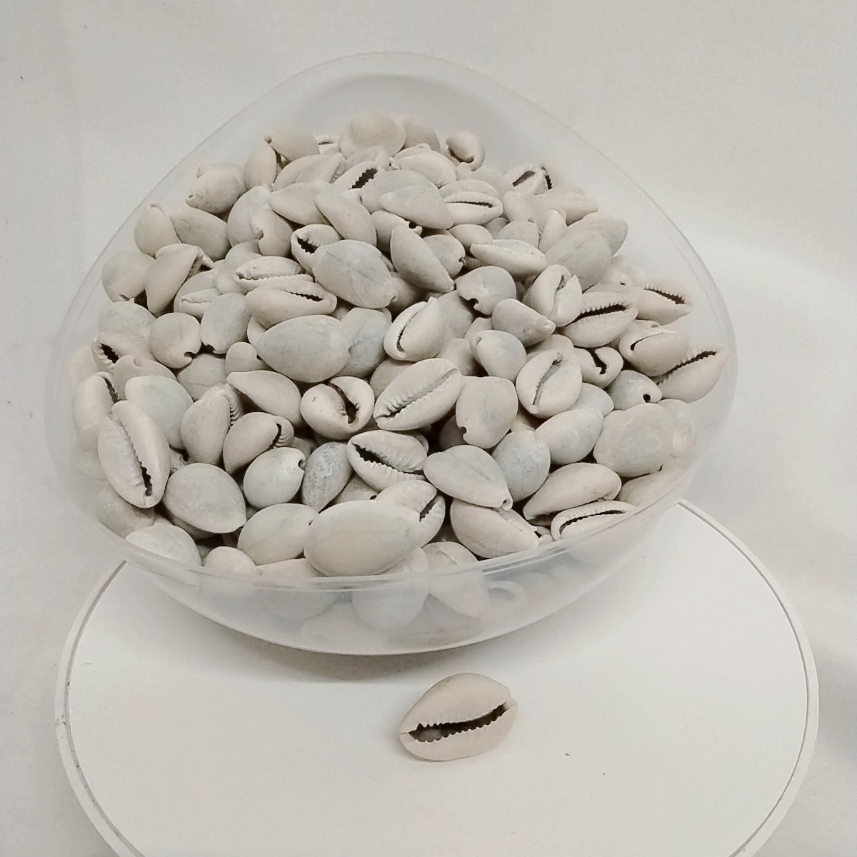 20pcs African Authentic/Natural Cowries/Owo Eyo