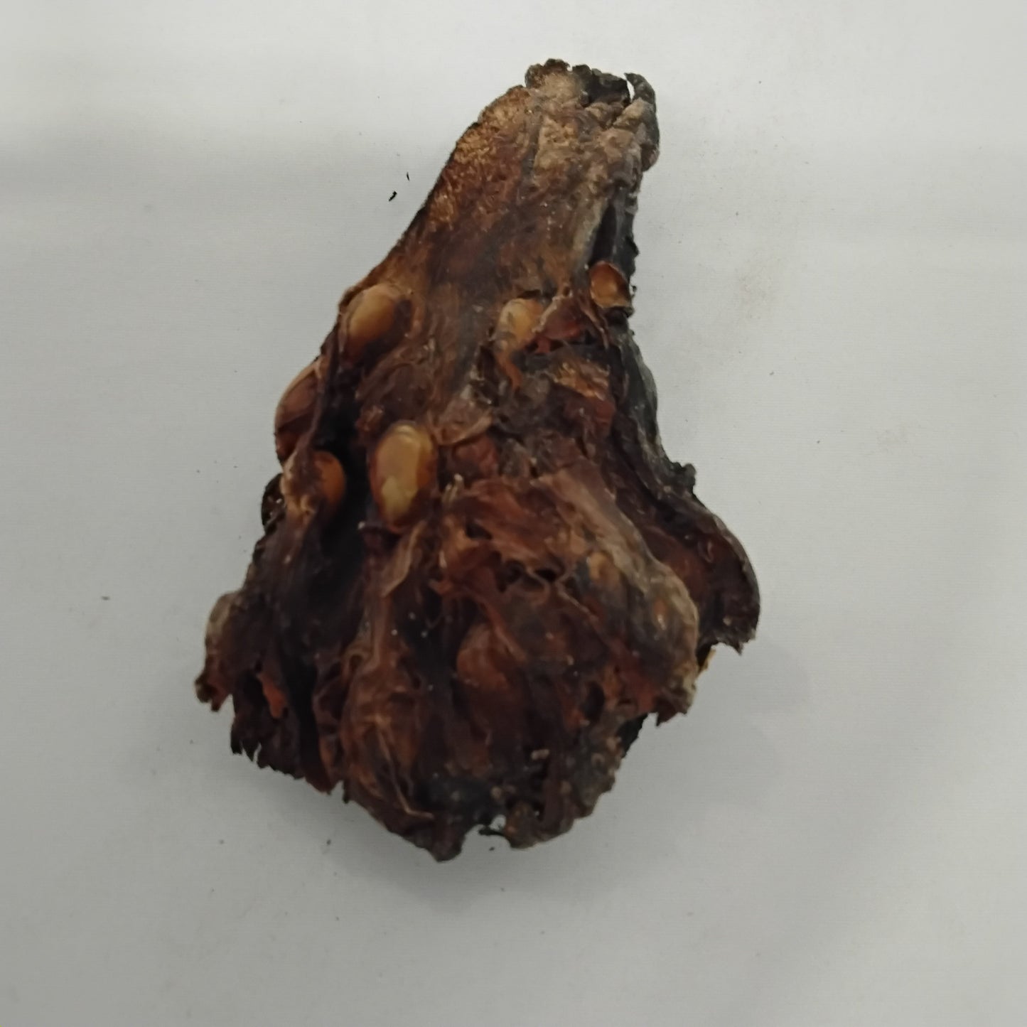 Eso Afan/ African Breadfruit Seeds/Freudian Africana
