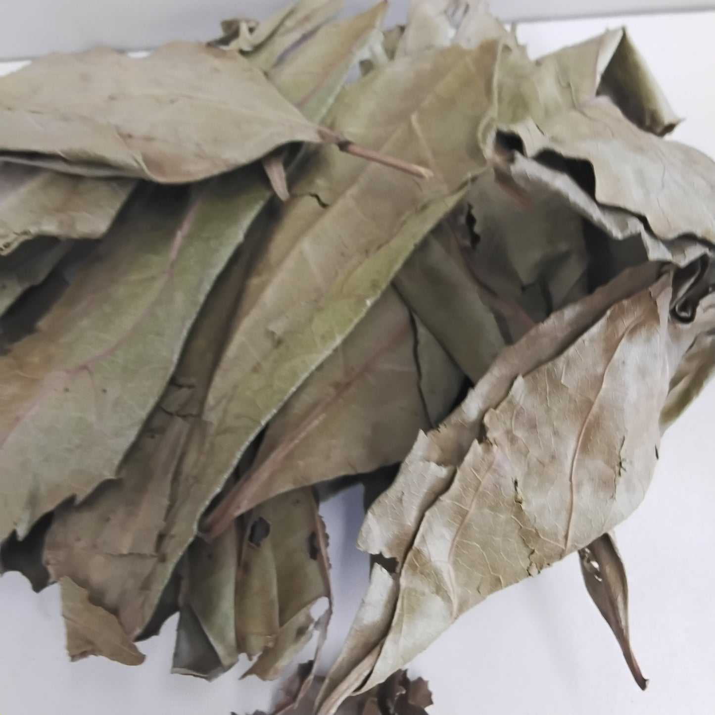 Ewe Akoko/Boundary Tree /Newbouldia Laevis/Tree of Life/Dried Ogiri/Aduruku