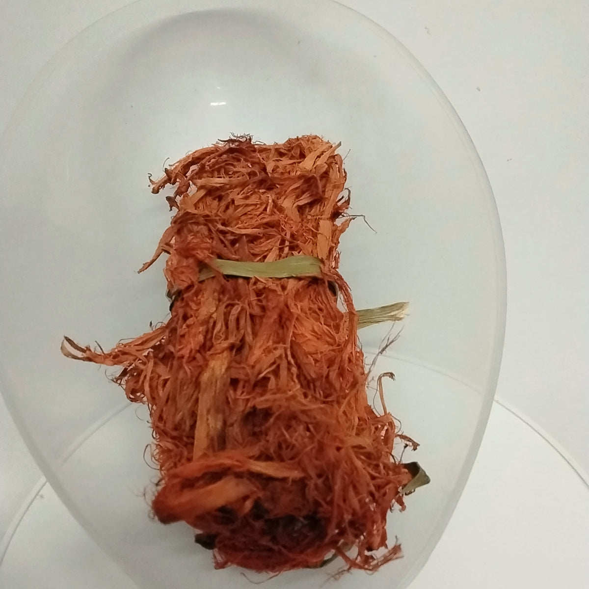 Kankan Eje/Tonic Sponge