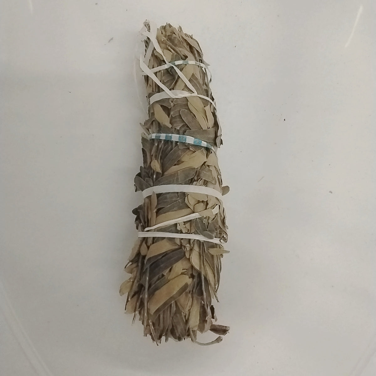 Ewe Igba/Parking Biglobosa/African Dried Herb