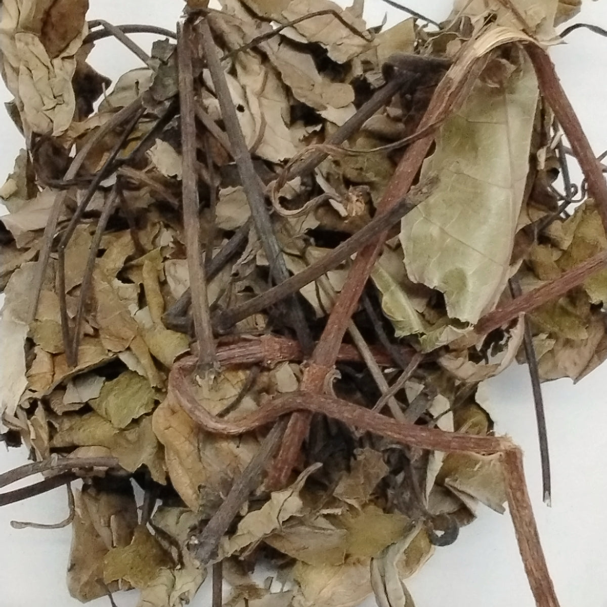 Ewe Ogbo/African Dried Parquentina Nigrescens/African Dried Herbs