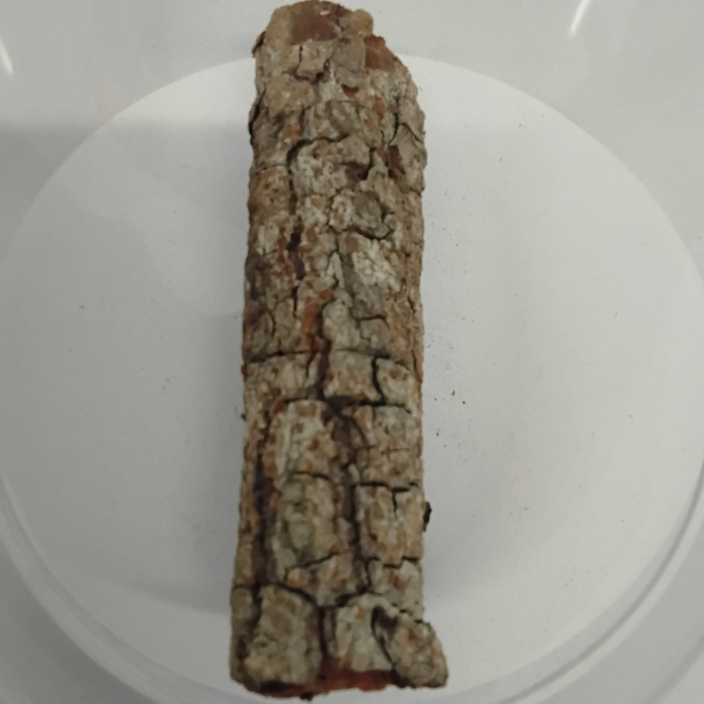 2.5oz Epo Emi/Sheabutter Tree Dried Bark