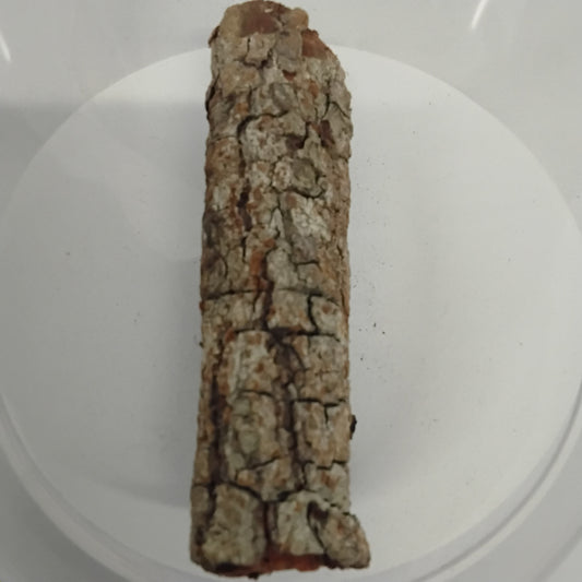 2.5oz Epo Emi/Sheabutter Tree Dried Bark