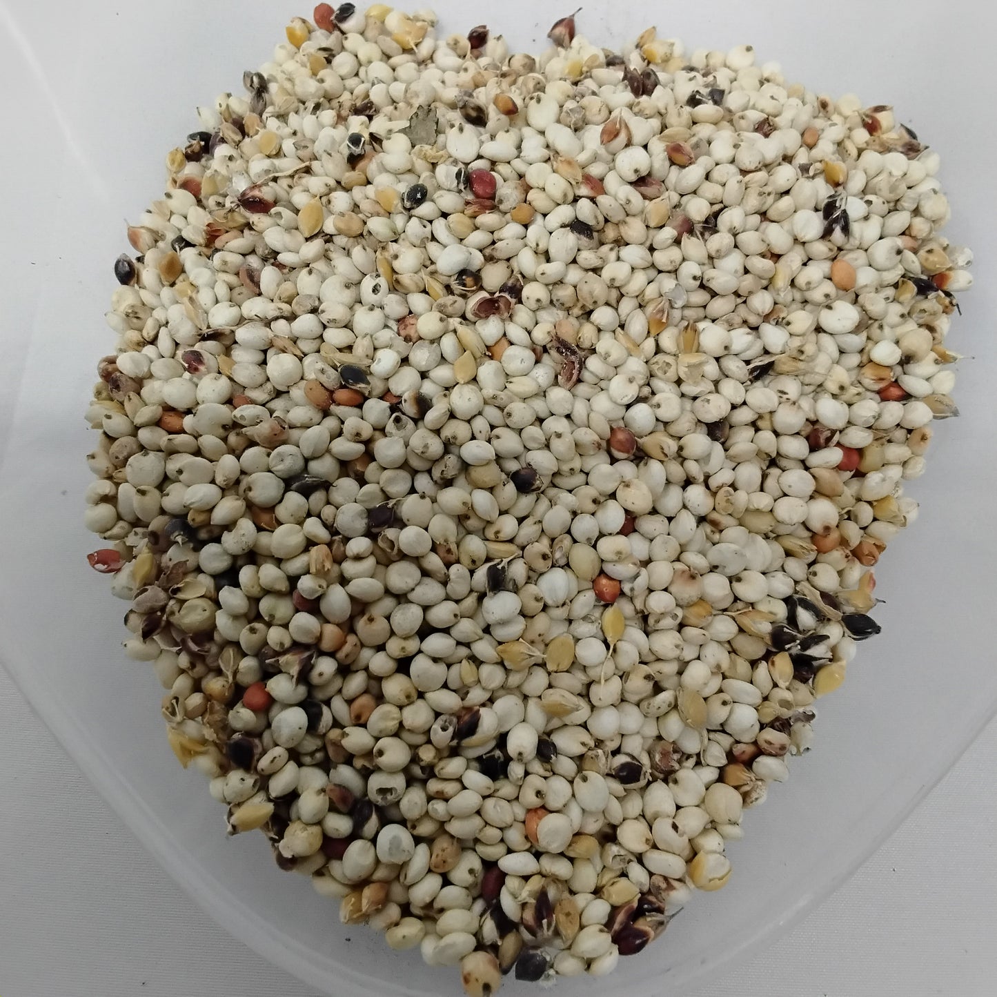 8oz Jero Funfun/Oka Baba Funfun/African  White Guinea Sorghum