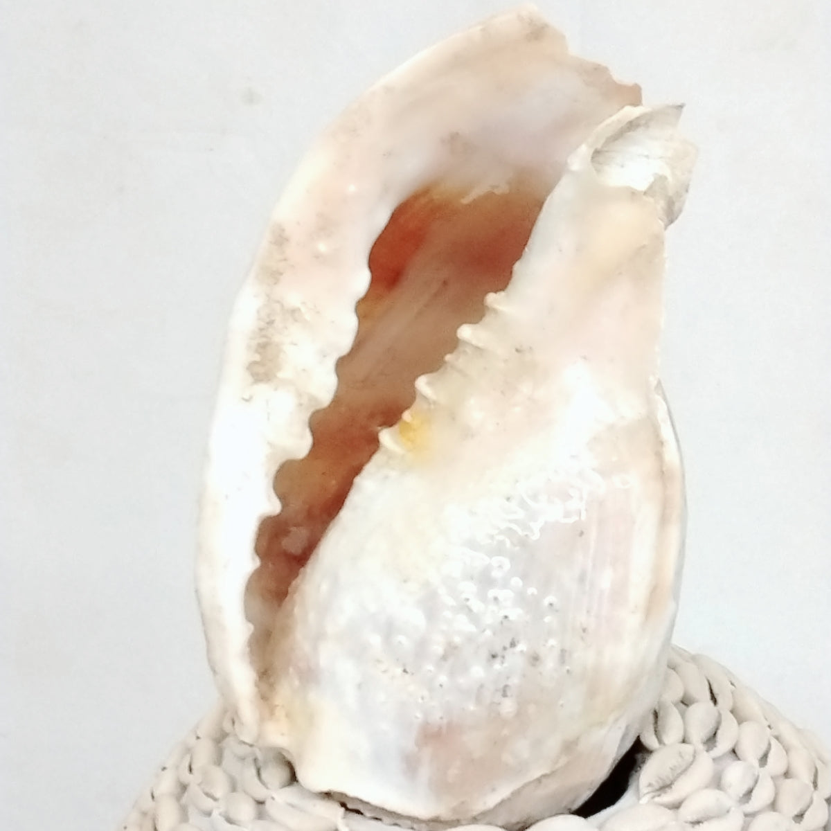 Igba Aje/Igba Orisha Aje/Wealth Calabash