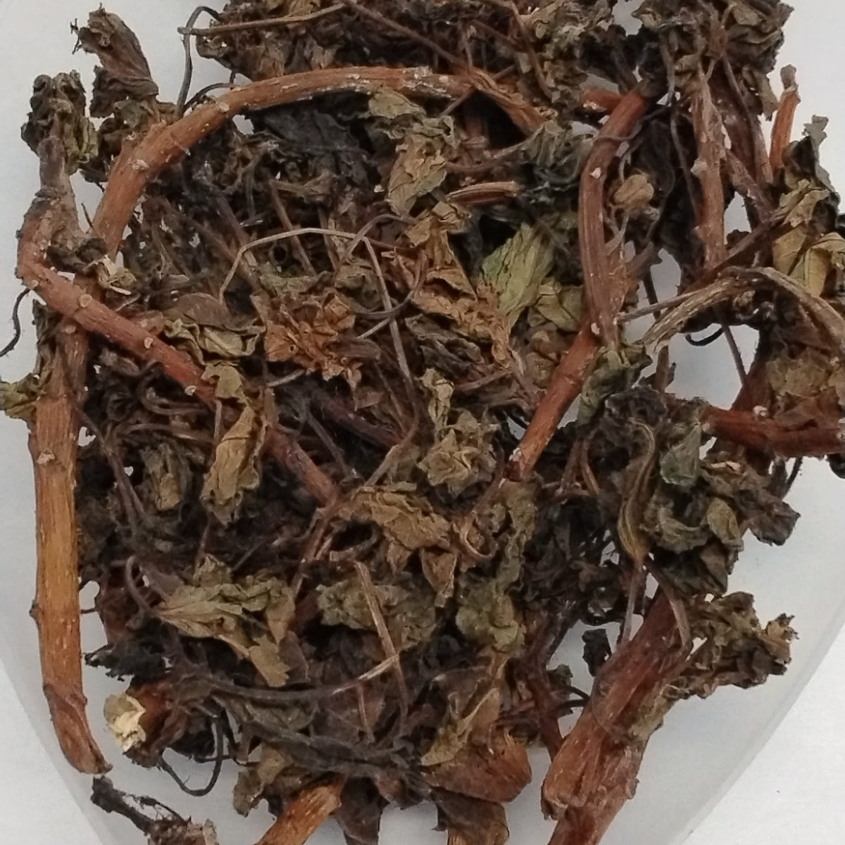 Ewe Lapalapa Pupa/Red Jatroha Leaves/Dried African Herbs/Jatropha Gossypiifolia