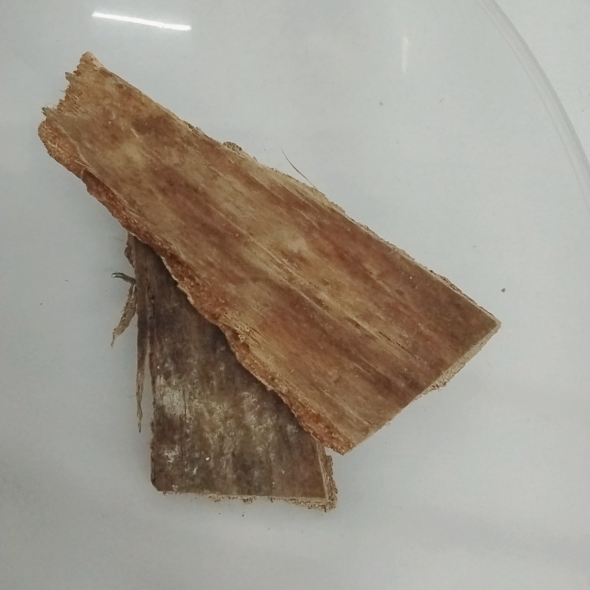 Epo Akunmu