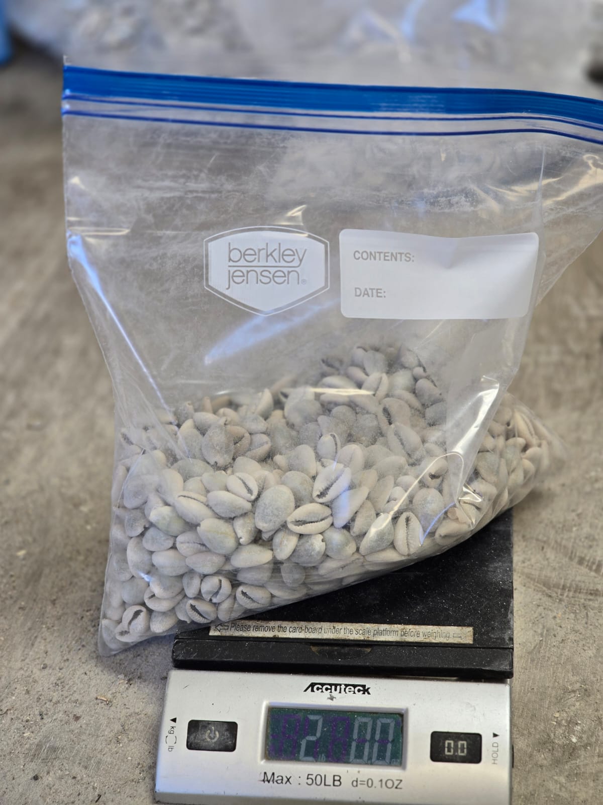 African Authentic Cowries/Owo Eyo