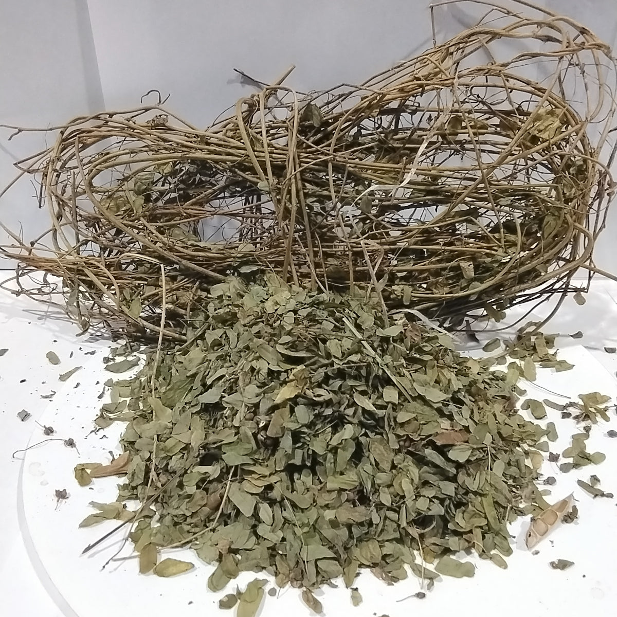 Ewe omisimisi pelebe/ Scoparia Dulcis/Dried Miracle Leaf/Dried herbs