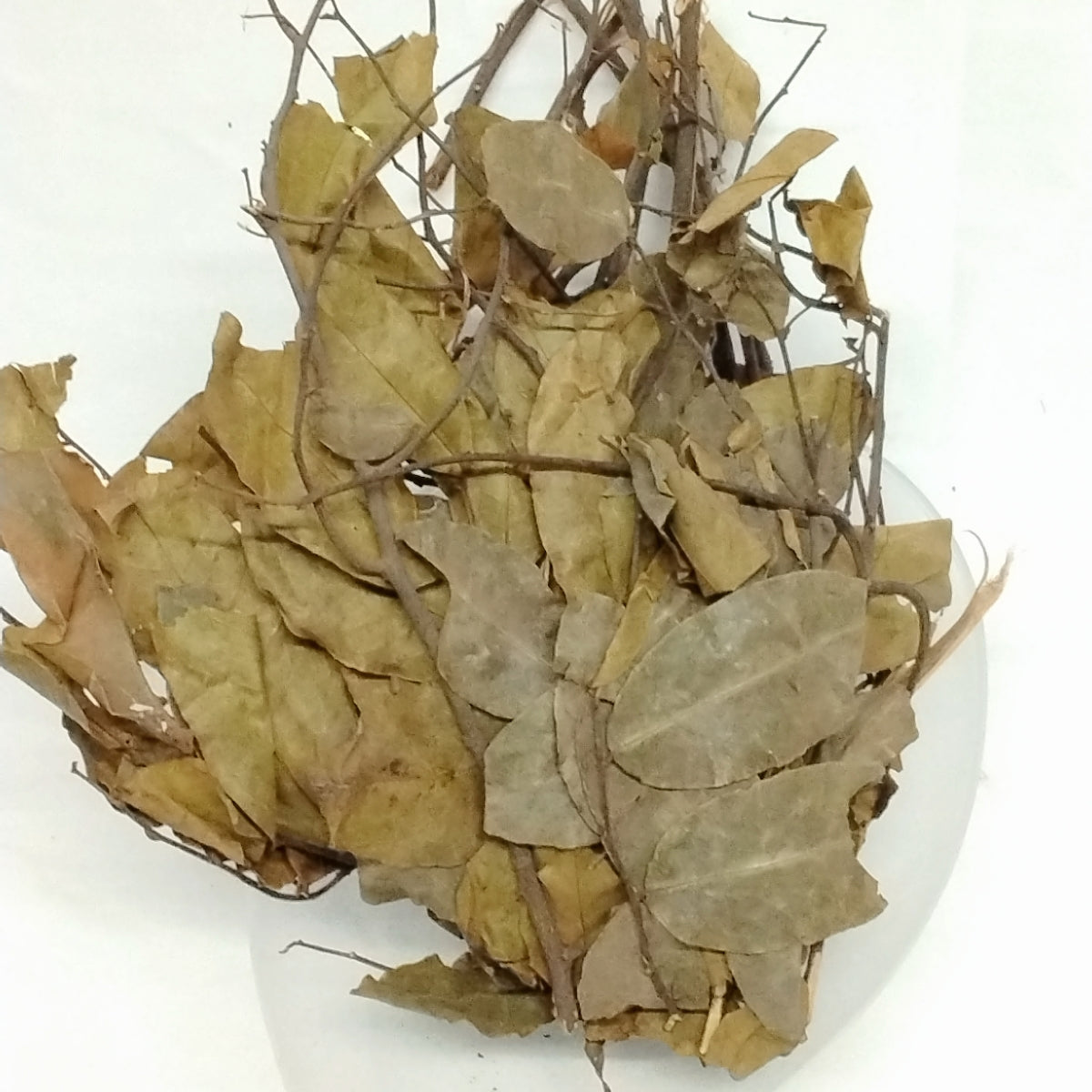 Ewe Eru/Ewe Eeru/Ewe Erinje/African Dried Herbs