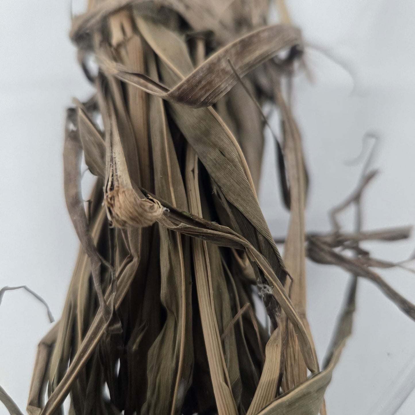 Ewe Ataare/Alligator Pepper Leaves/Aframomum Melegueta/Grains of Paradise Dried Leaves