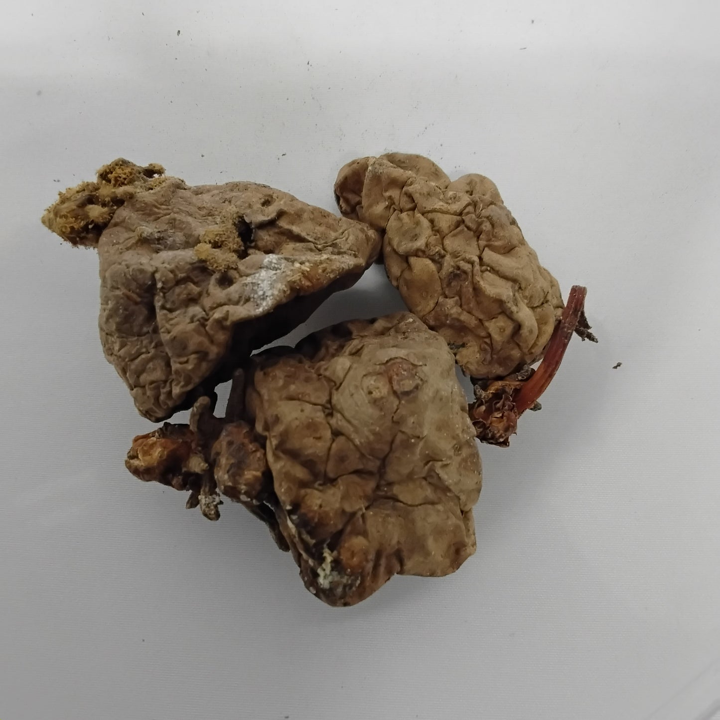 Isu Emina/Dried African Wild Yam/Dioscorea Villosa/Ji'muo/Ji Aga/Ji Aziza