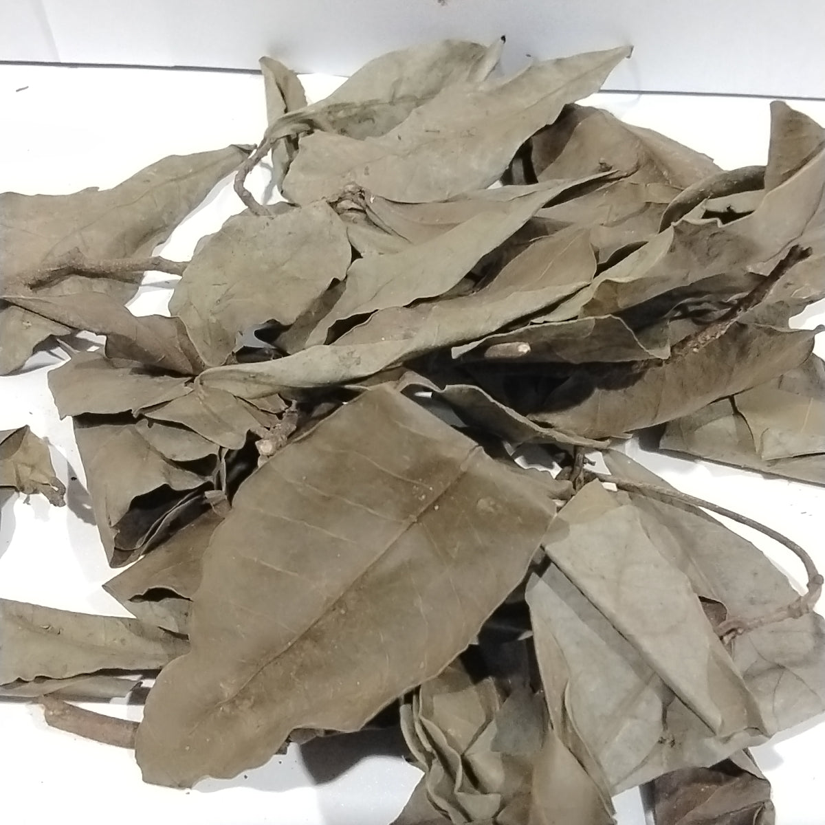 Ewe Agbayun/Miracle Fruits Dried Leaves/Azimomo Leaves/Synsepalum Dulcificum