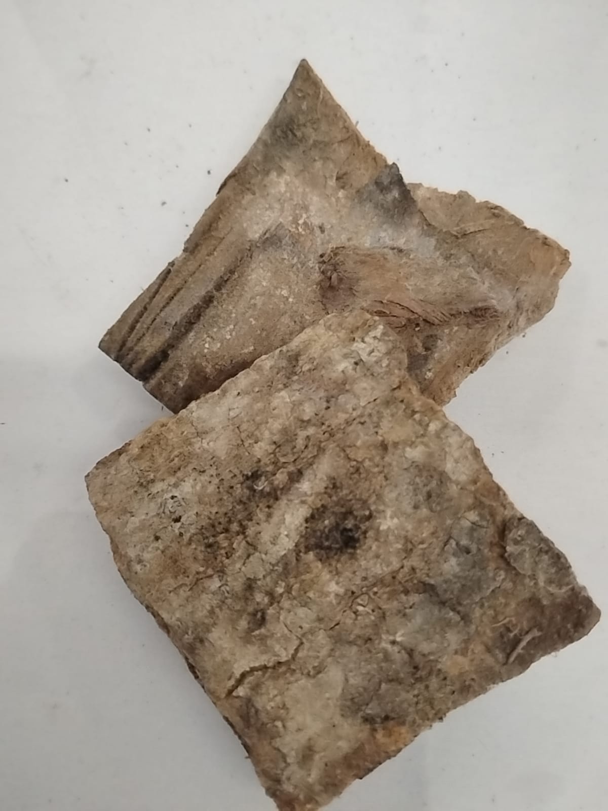 Epo Amuyan/ Epo Padoro/Kigelia Africana/Panettone Bark