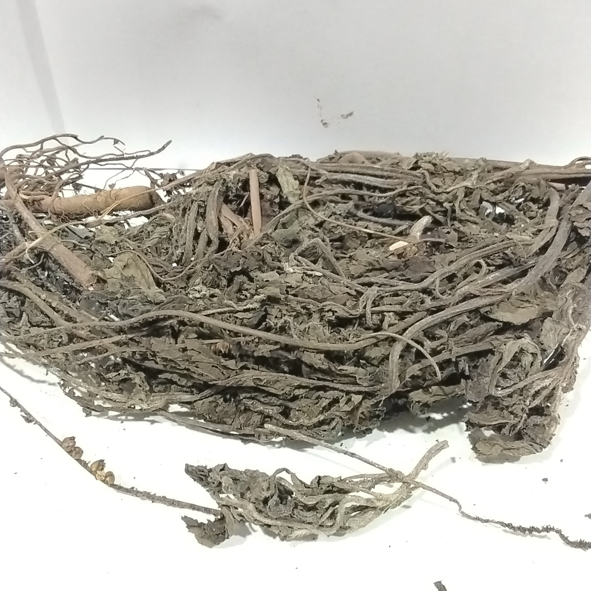 Ewe Ogbe Ori Akuko/ Heliotropium Indicum/ Indian Heliotrope/Scorpio Tails leaf/Dried Herbs