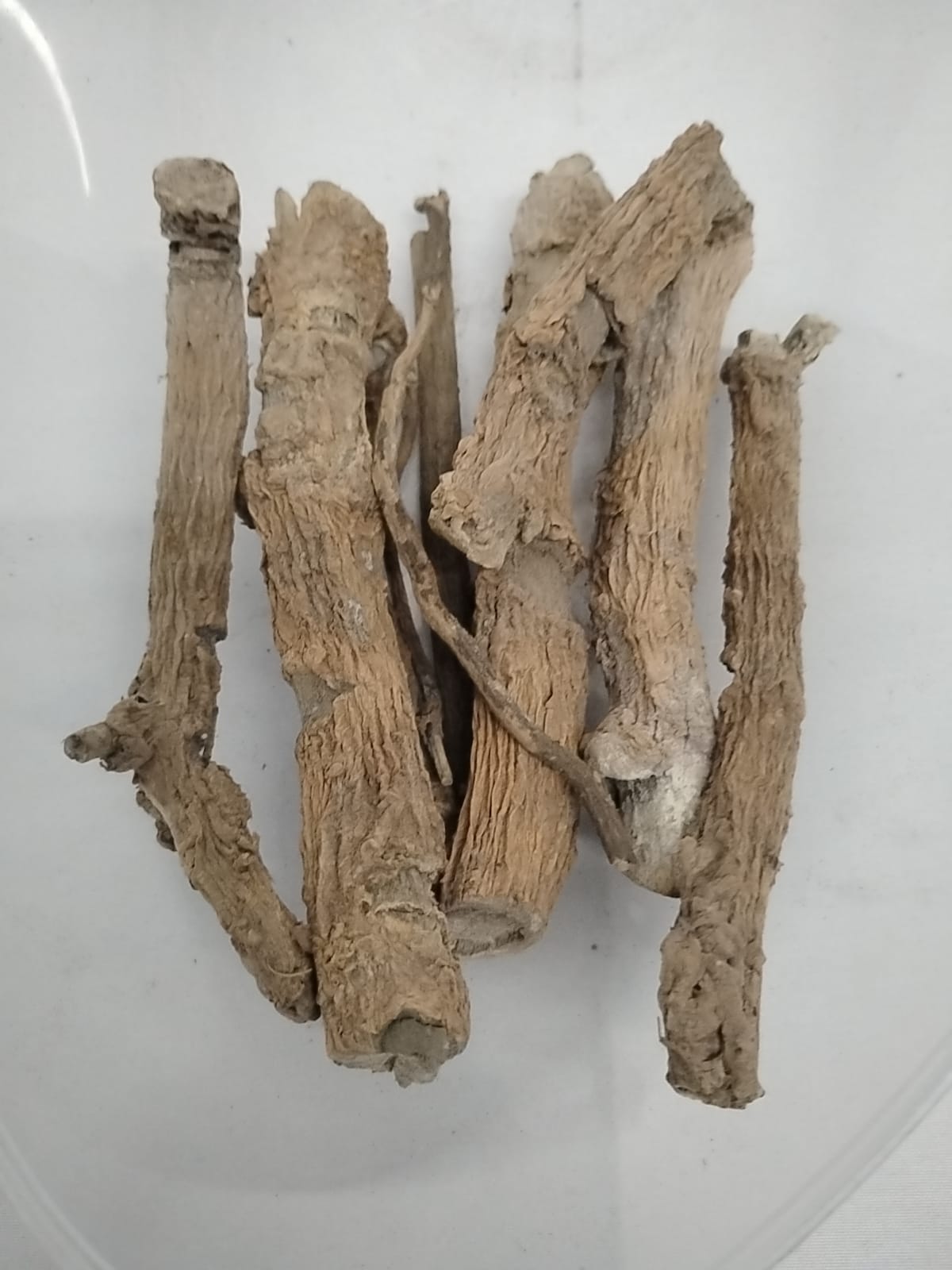 Egbo Sagere/Strophanthus Hispidus