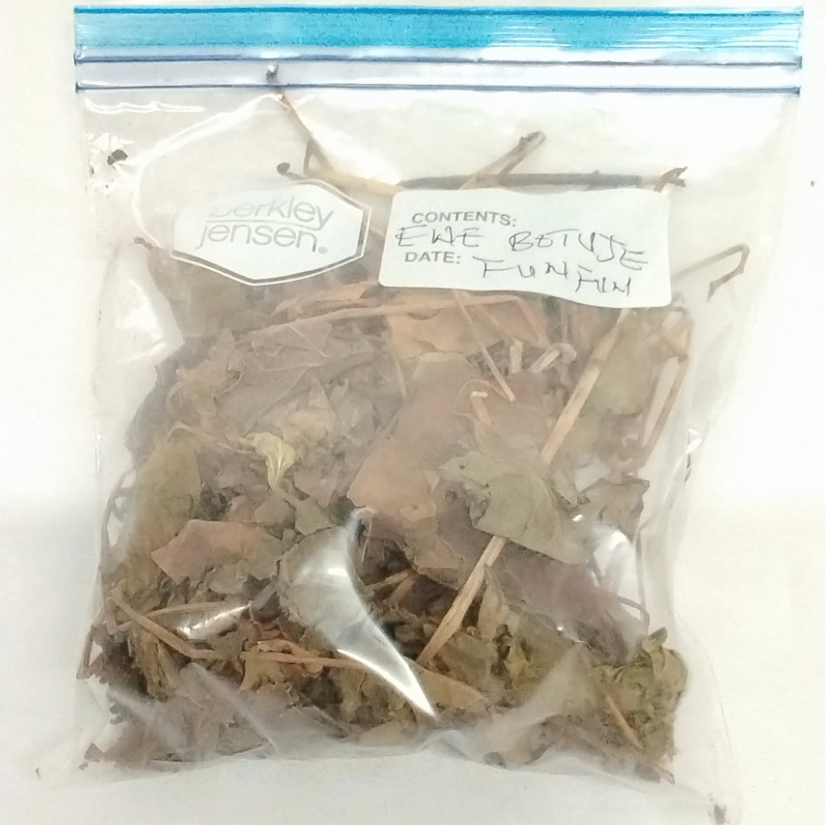 White Jatropha Curcas/Ewe Iyalode Funfun/Ewe Lapalapa Funfun/Ewe Botuje Funfun/African Dried Herbs