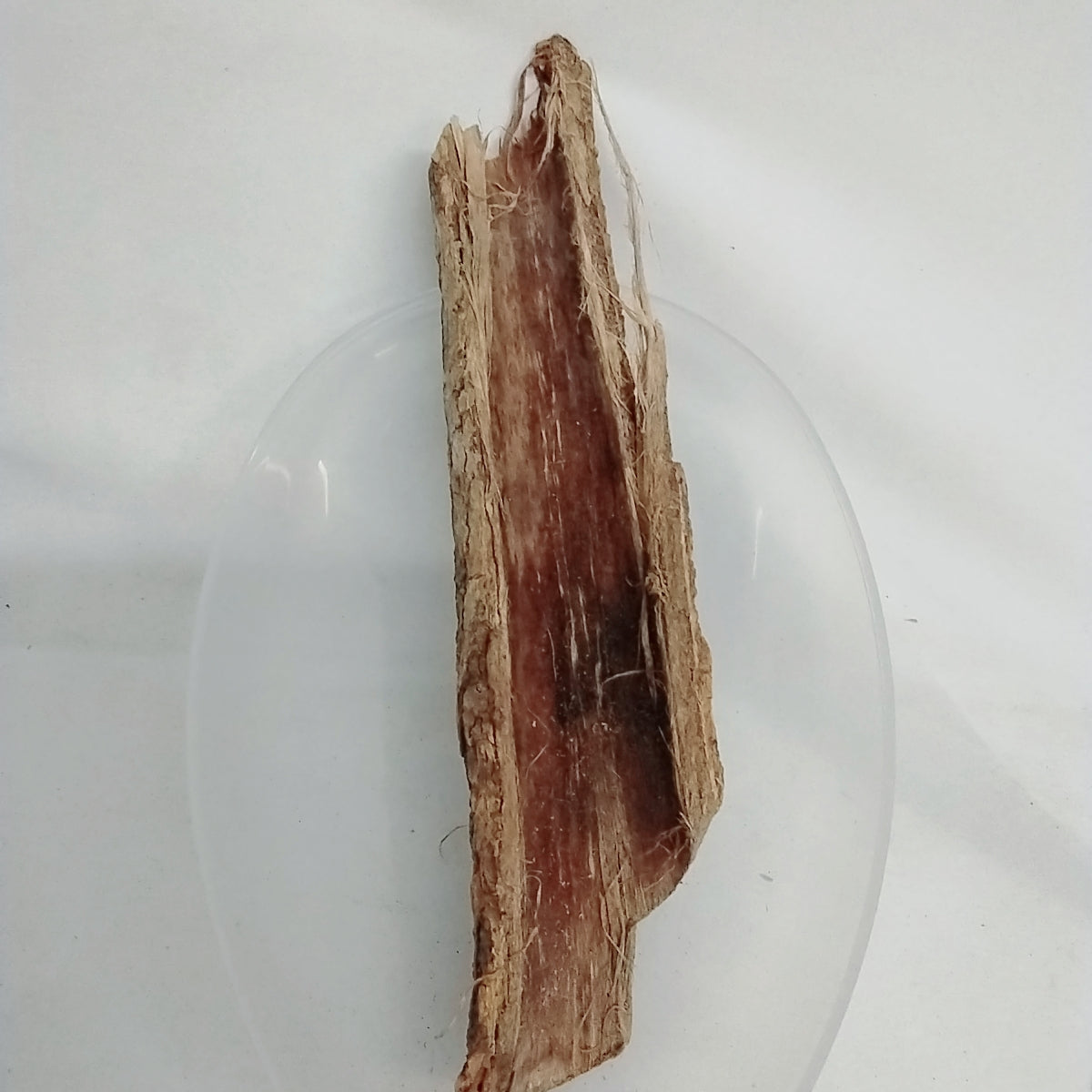 Epo Igi Akoko/African Fertility Tree Back/Aduruku Ogirisi/Dried African Bark