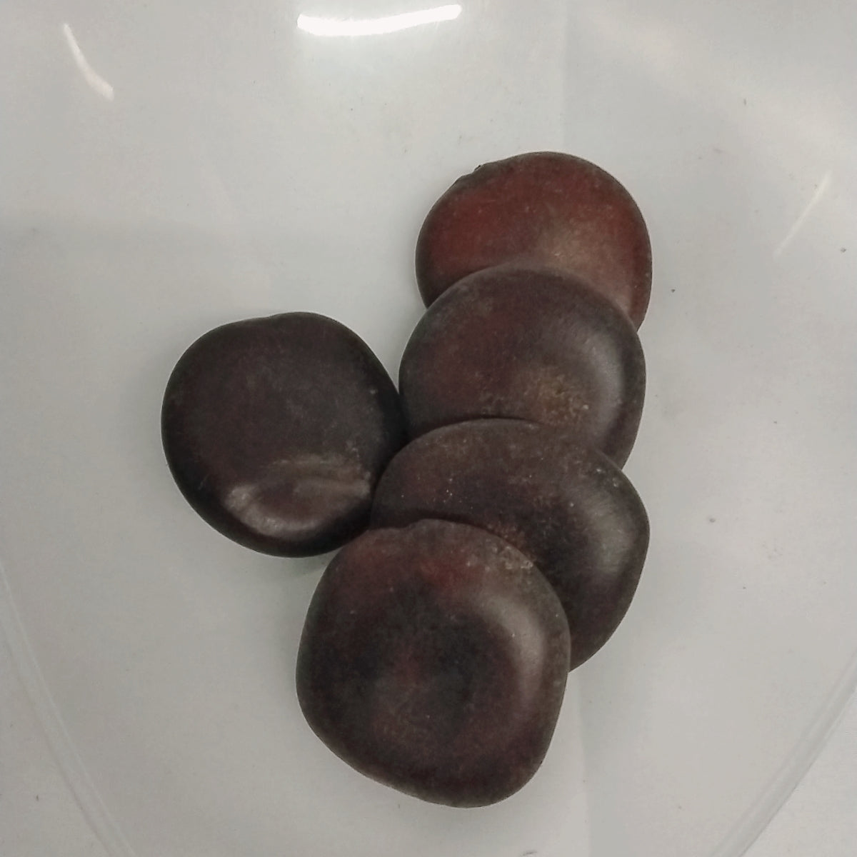 5pcs Eso Agba/Heart of Sango