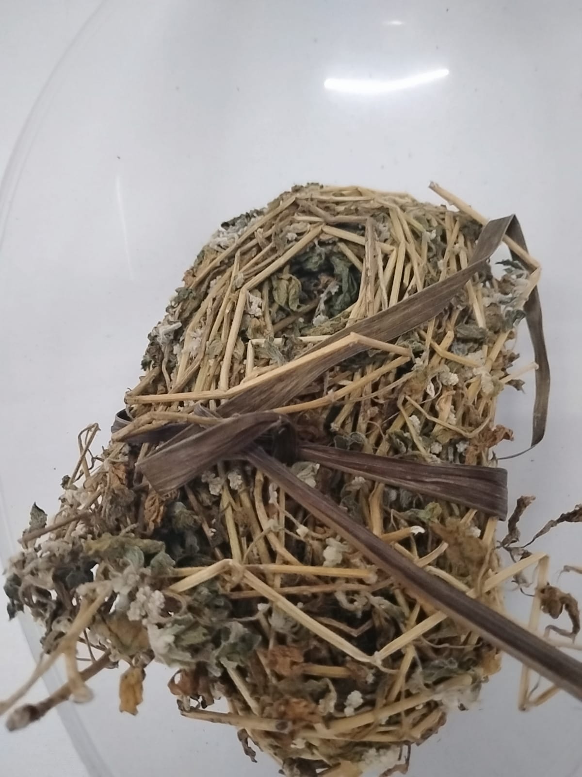 Ewe Aje Sefunsefun/Dried Wealth Leaf/Money Leaves/Aerva Lanata