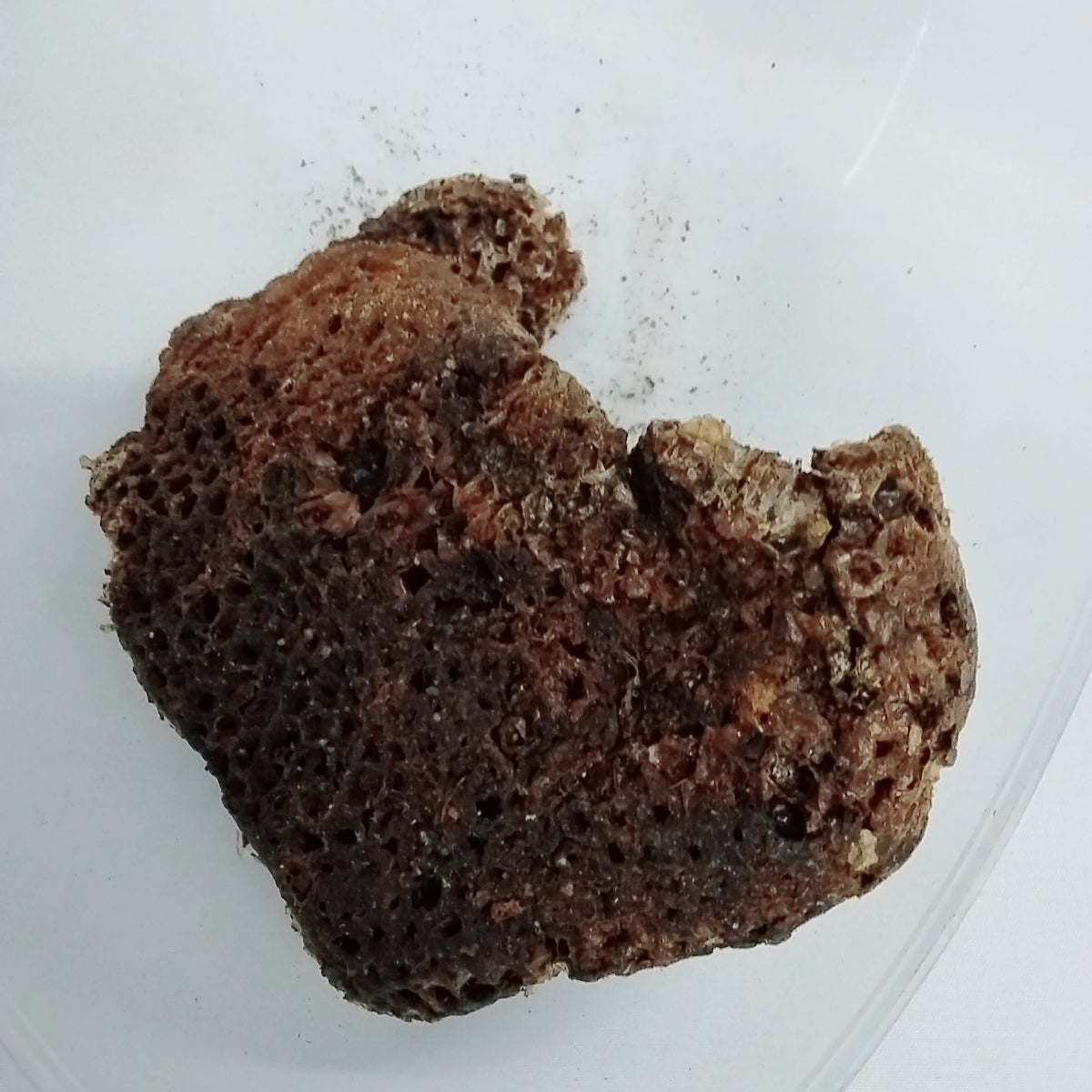 Afara Oyin/Dried African Organic Honey Comb