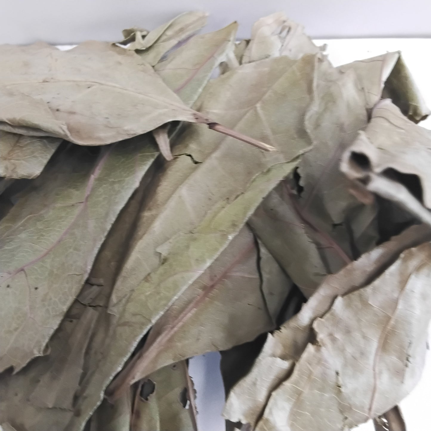 Ewe Akoko/Boundary Tree /Newbouldia Laevis/Tree of Life/Dried Ogiri/Aduruku