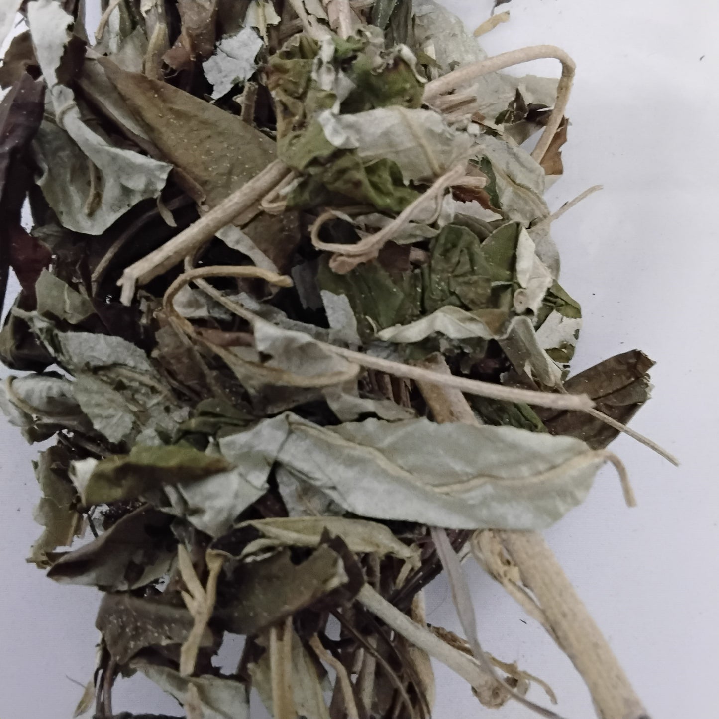 Ewe Ajeobale/3oz Dried Croton  Zambesicus
