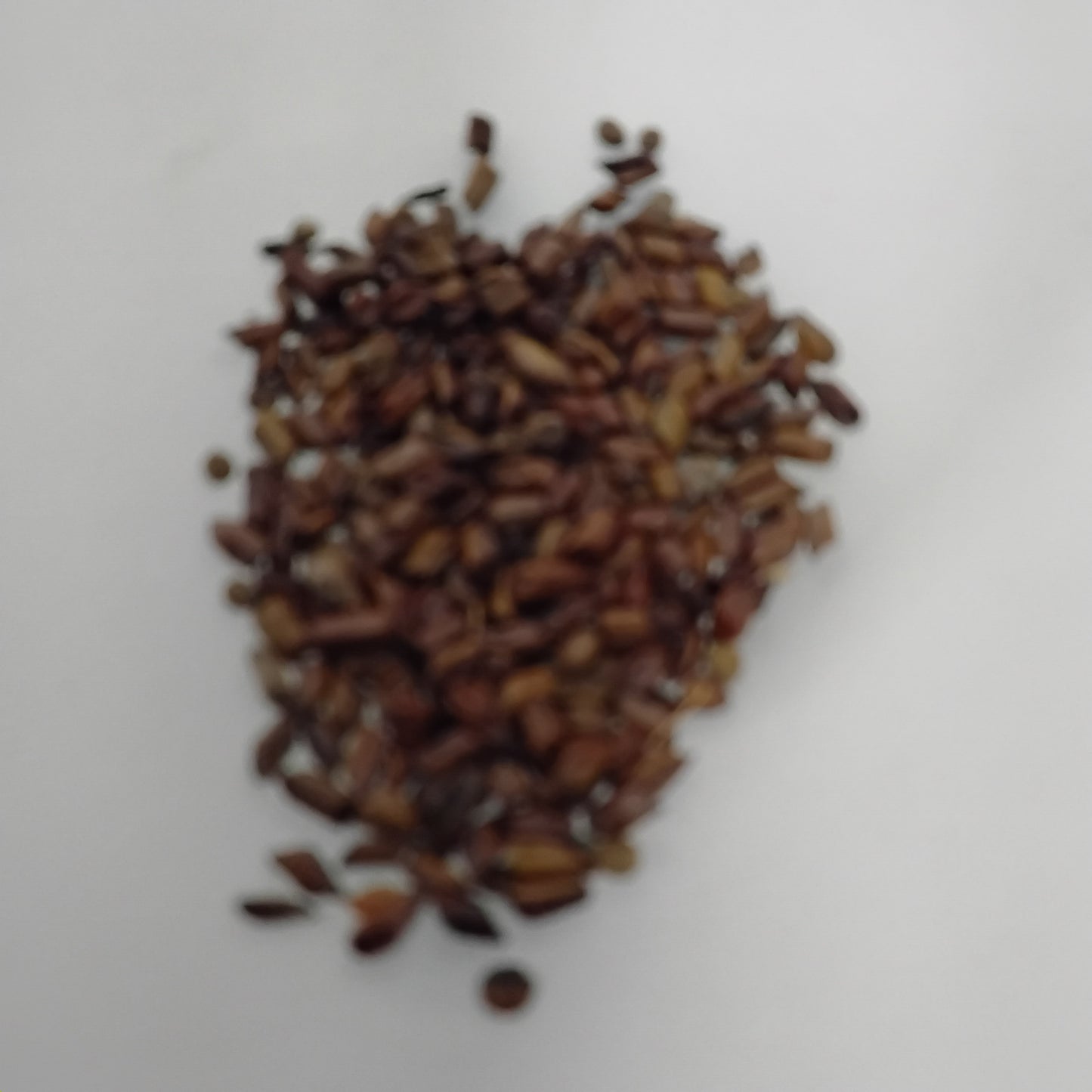 Eso Rere Ako/Senna Obtusifolia Seeds
