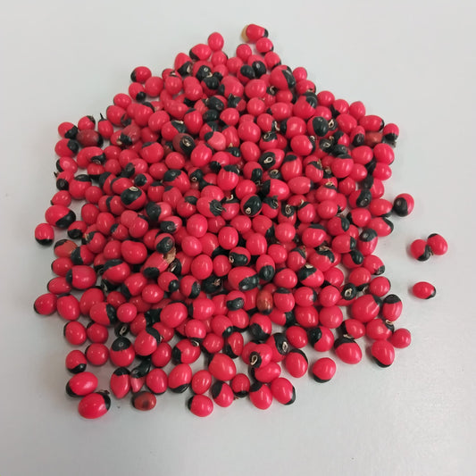 1 pack Rosary Peas/Arbus Precatorius/Eso Werejenje