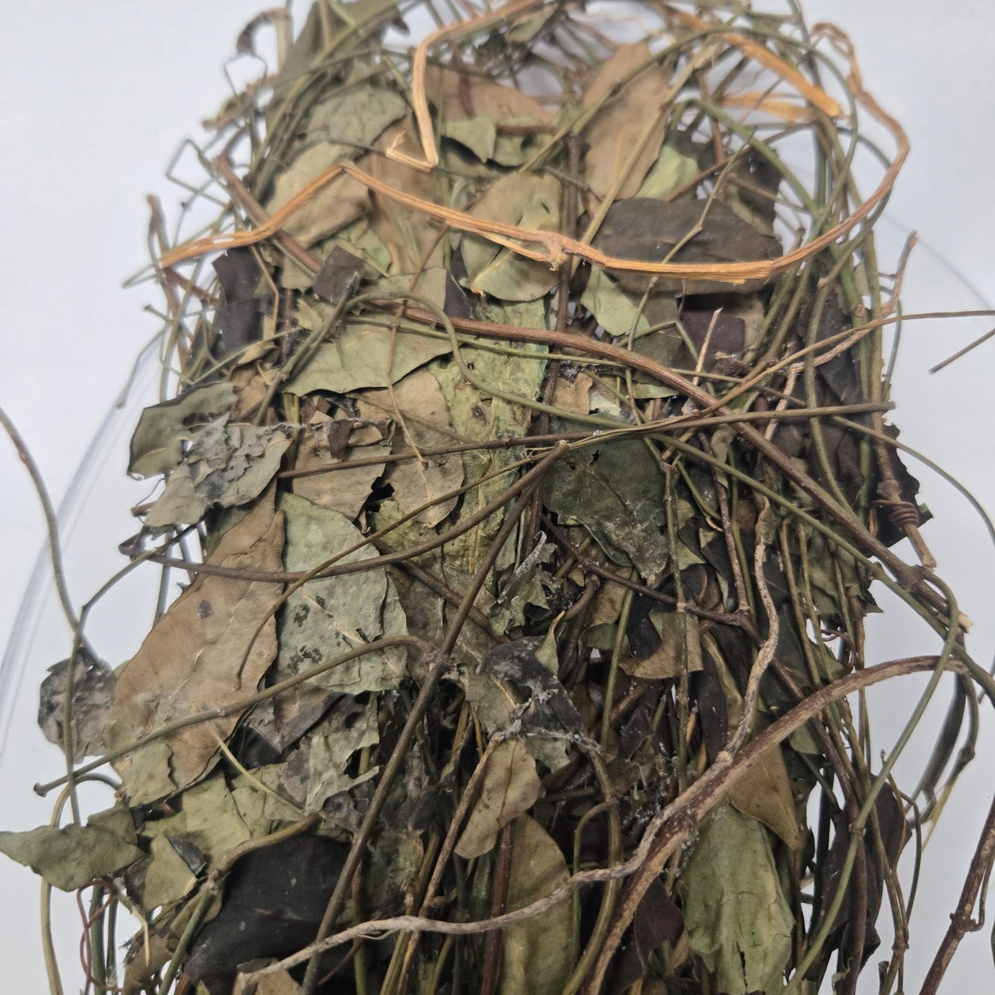 Ewe Ailu/Dried African Herbs/Secamone Afzelii