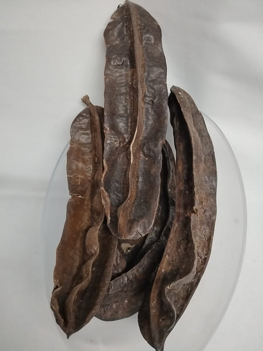 3pcs Aidan Onigun/Prekese/Uhio/TetrapleuravTetraptera Fruits