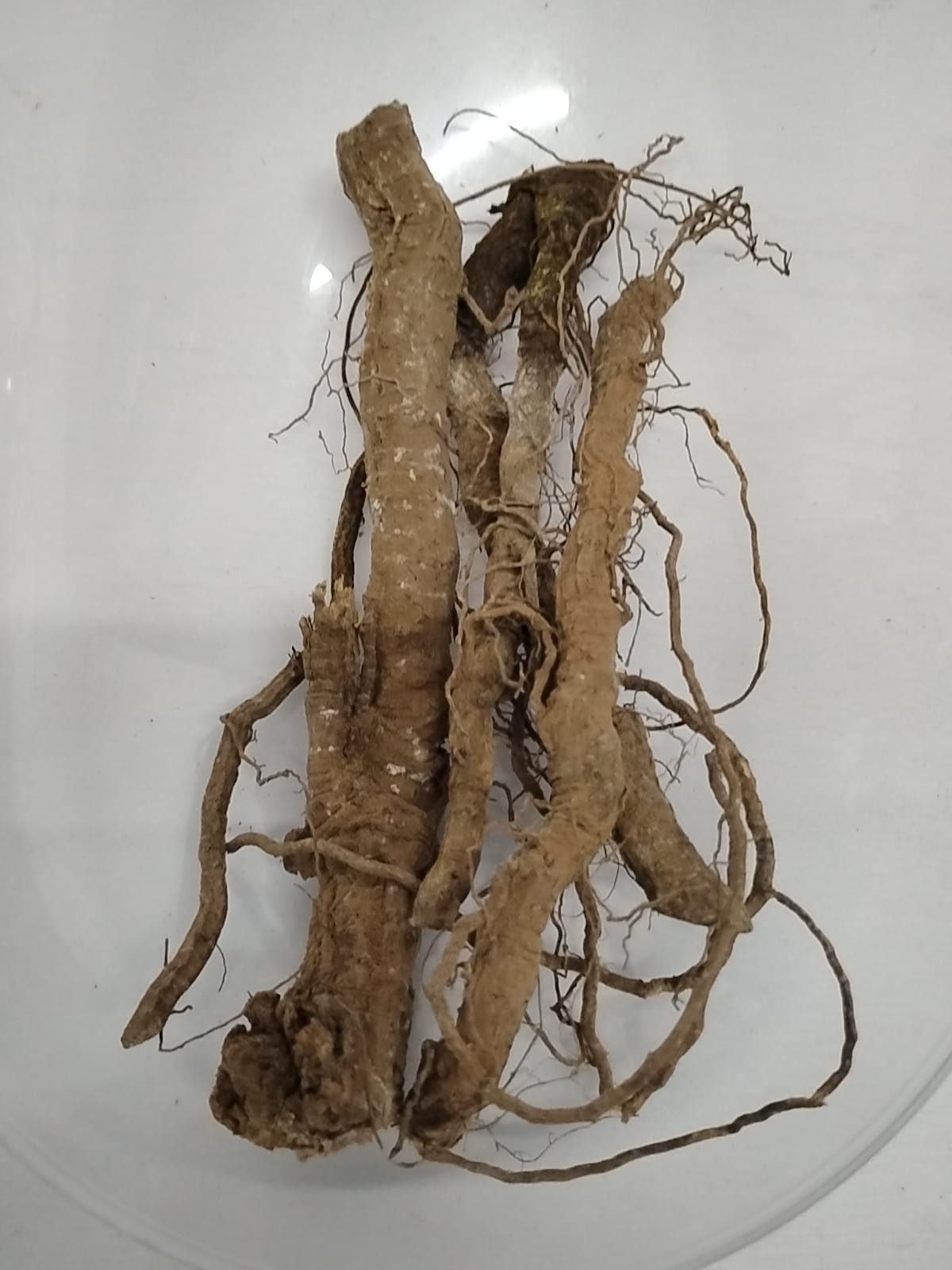 Egbo Karanjogbo/African Dried Roots