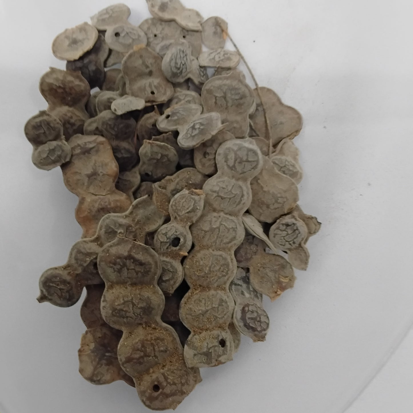 Eso Boni/Acacia Nilotica Seeds