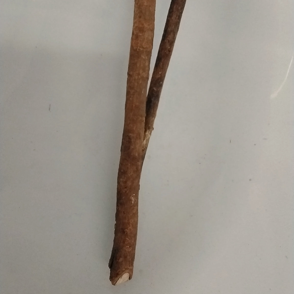 African Herbal Chewing Sticks