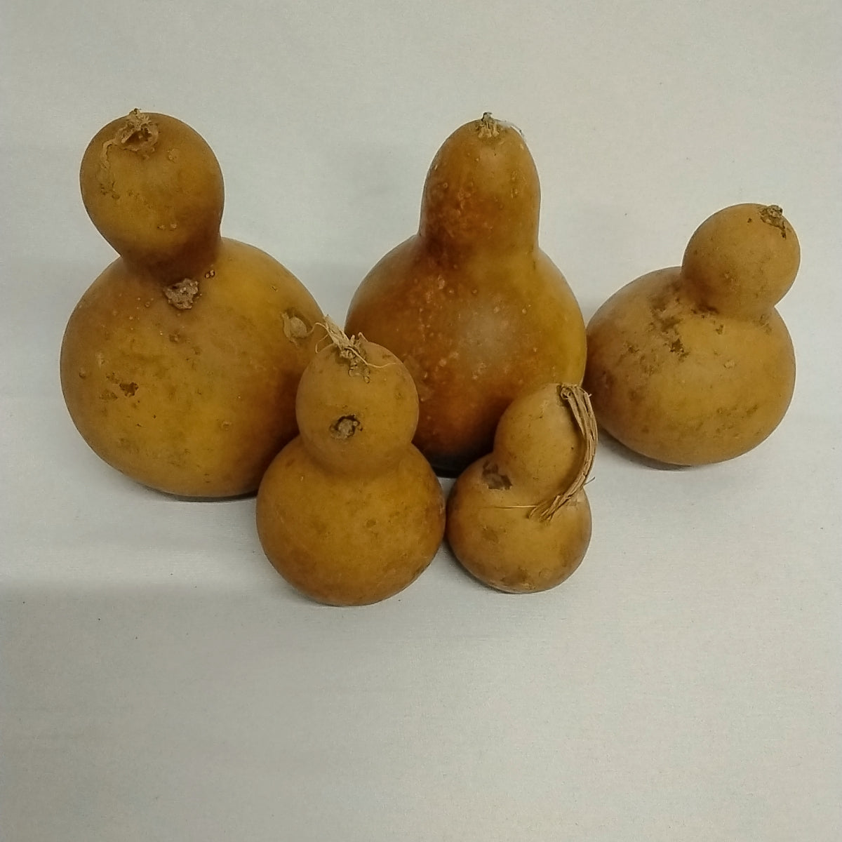 Ado/African Dried Bottle Gourd