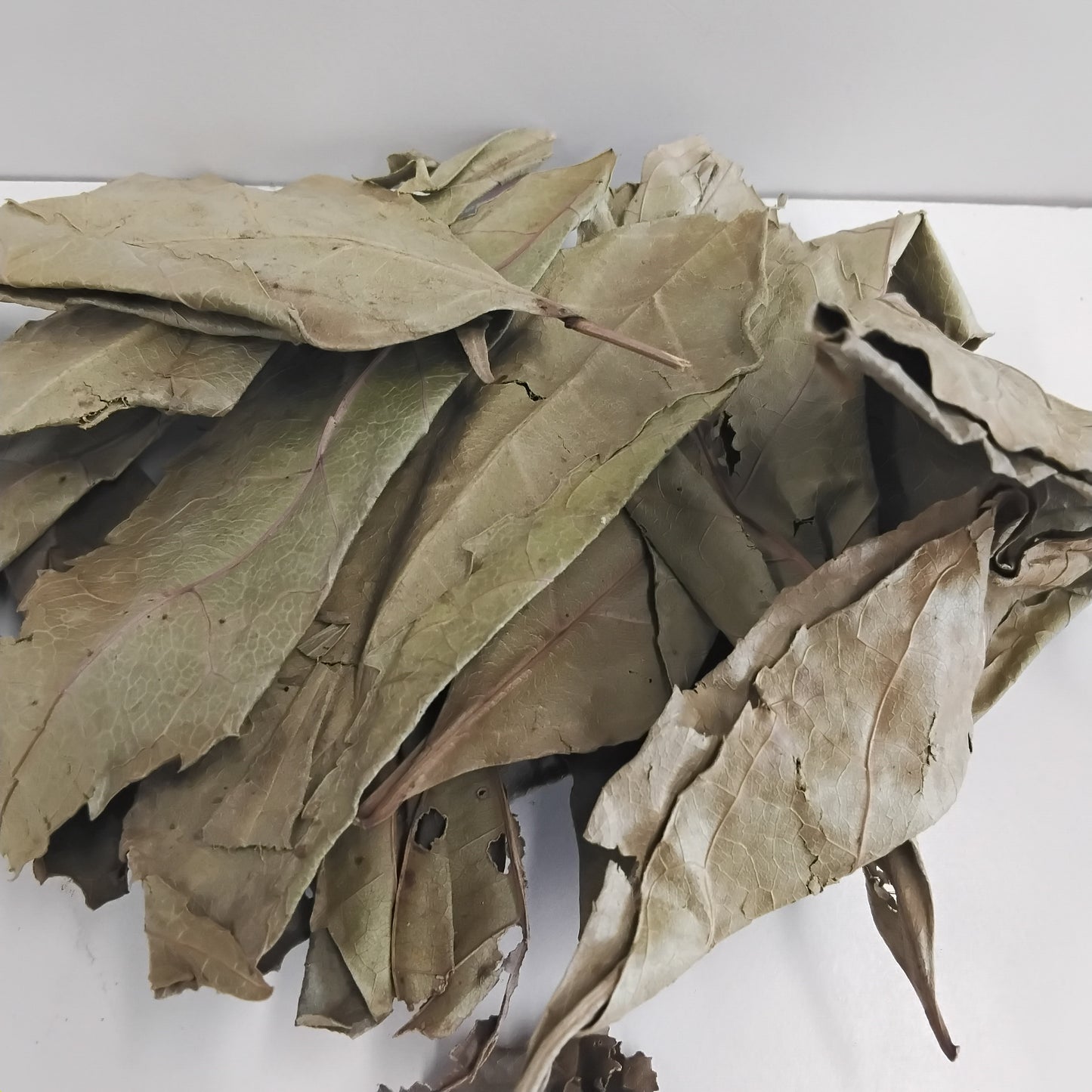 Ewe Akoko/Boundary Tree /Newbouldia Laevis/Tree of Life/Dried Ogiri/Aduruku