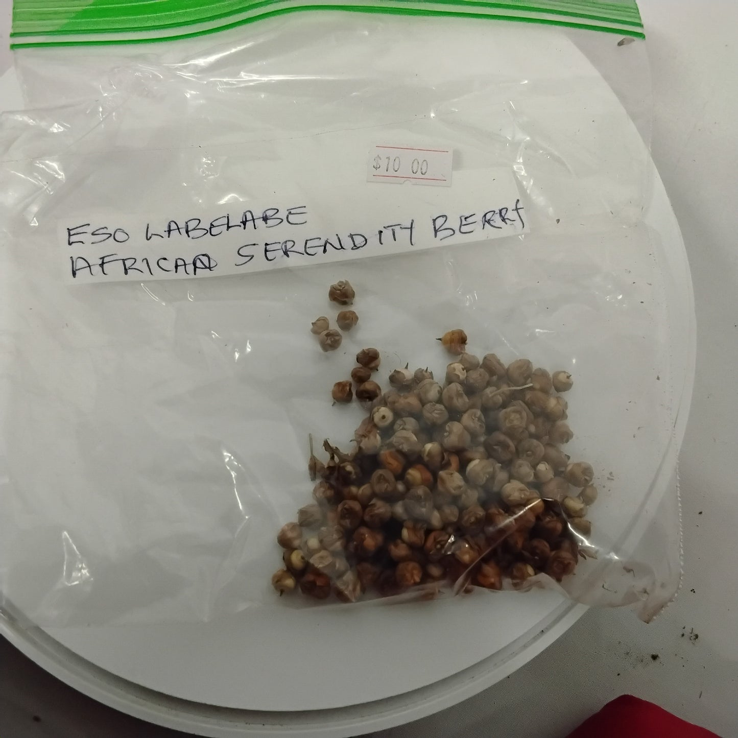 Eso Labelabe/African Serenity Berry Seeds/Scleria Reflexa Seeds
